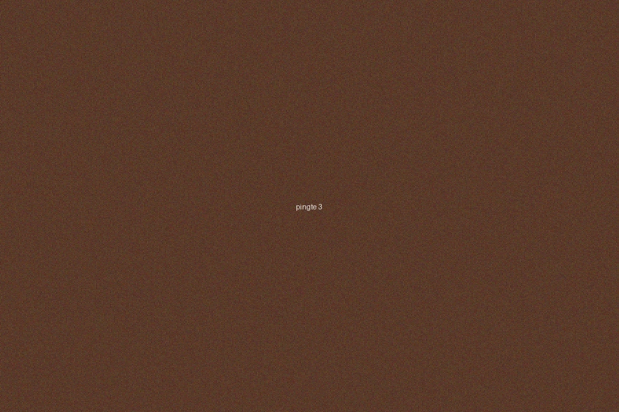 澳门六合彩平特一肖選號技巧分析